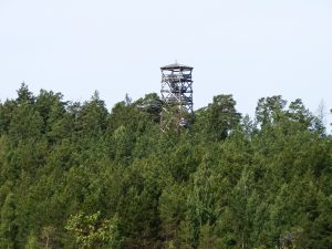 p7030374