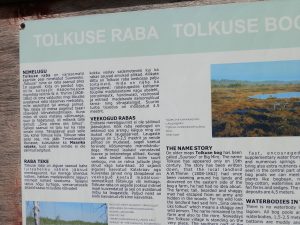 p7030377