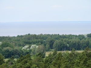 p7030400