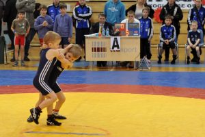 pmv-133