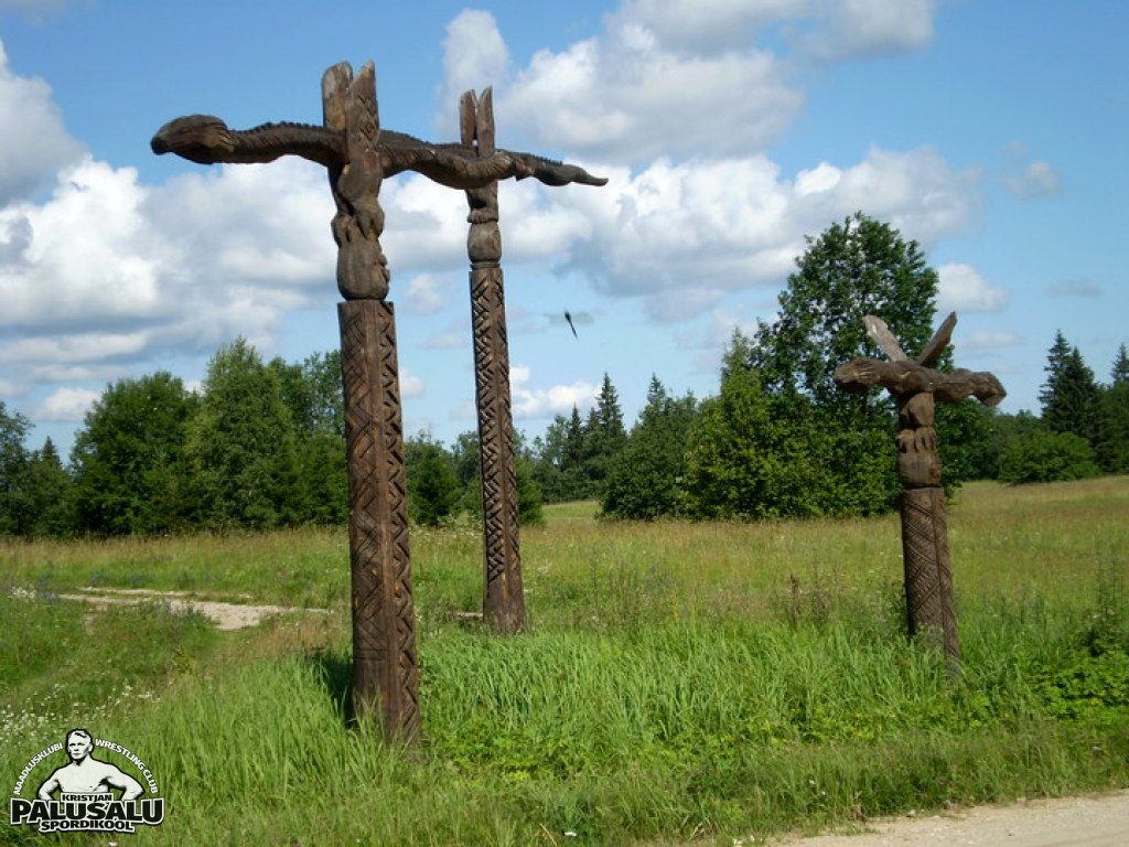 Kääriku-Suvelaager-2008
