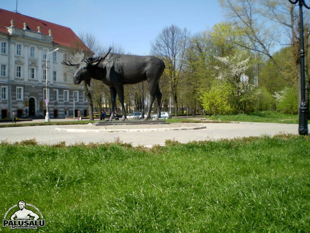 Maadlusvõistlus Sovetskis 2008