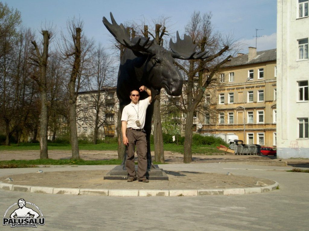 Maadlusvõistlus Sovetskis 2008