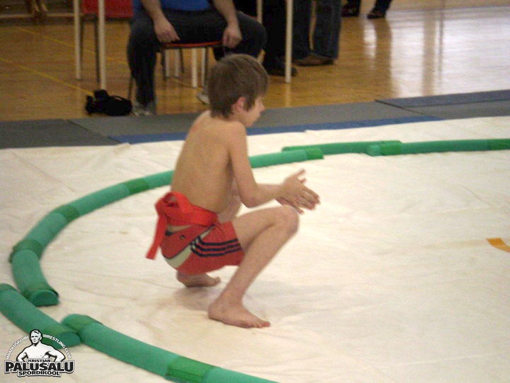 Sumo 17.02.2008